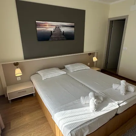 Luxury Apartment