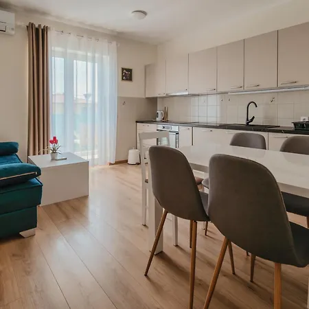 Luxury Apartment